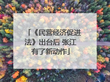 《民营经济促进法》出台后 张江有了新动作