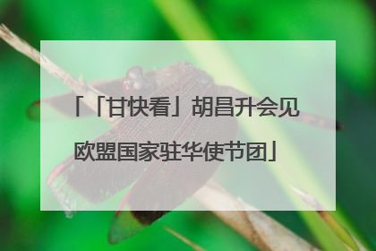 「甘快看」胡昌升会见欧盟国家驻华使节团