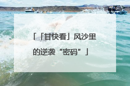 「甘快看」风沙里的逆袭“密码”