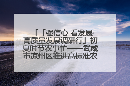「强信心 看发展·高质量发展调研行」初夏时节农事忙——武威市凉州区推进高标准农田建设见闻