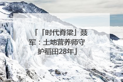 「时代脊梁」聂军：土地营养师守护稻田28年