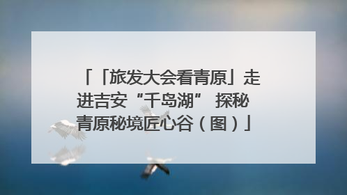 「旅发大会看青原」走进吉安“千岛湖” 探秘青原秘境匠心谷（图）