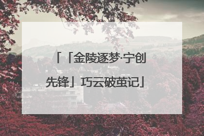 「金陵逐梦·宁创先锋」巧云破茧记