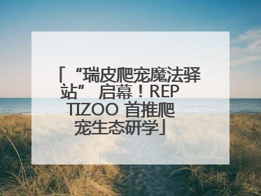 “瑞皮爬宠魔法驿站” 启幕！REPTIZOO 首推爬宠生态研学