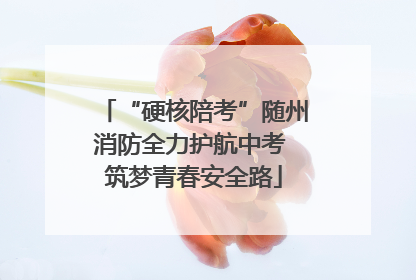 “硬核陪考”随州消防全力护航中考 筑梦青春安全路