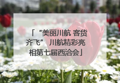 “美丽川航 客货齐飞” 川航精彩亮相第七届西洽会