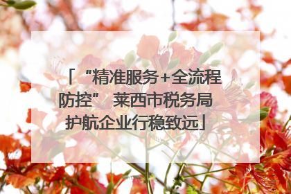 “精准服务+全流程防控” 莱西市税务局护航企业行稳致远
