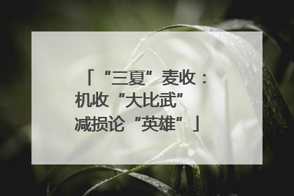 “三夏”麦收：机收“大比武” 减损论“英雄”