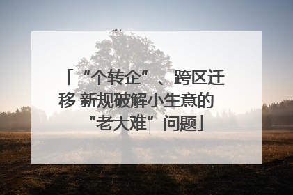 “个转企”、跨区迁移 新规破解小生意的“老大难”问题