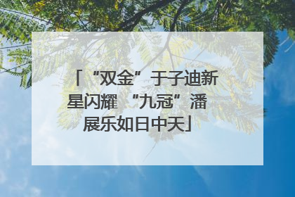 “双金”于子迪新星闪耀 “九冠”潘展乐如日中天