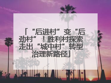 “后进村”变“后劲村”！胜利村探索走出“城中村”转型治理新路径