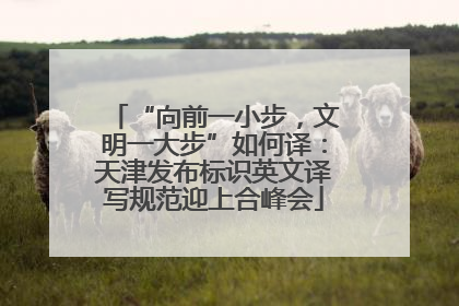 “向前一小步，文明一大步”如何译：天津发布标识英文译写规范迎上合峰会