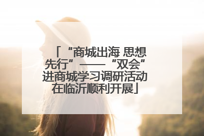 “商城出海 思想先行”——“双会”进商城学习调研活动在临沂顺利开展