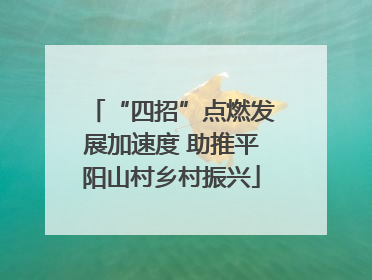 “四招”点燃发展加速度 助推平阳山村乡村振兴