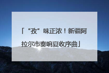 “孜”味正浓！新疆阿拉尔市奏响夏收序曲