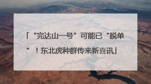 “完达山一号”可能已“脱单”！东北虎种群传来新喜讯
