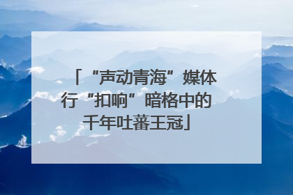 “声动青海”媒体行“扣响”暗格中的千年吐蕃王冠