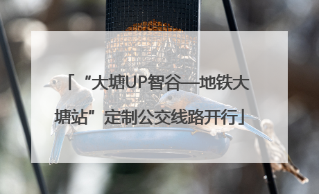 “大塘UP智谷—地铁大塘站”定制公交线路开行