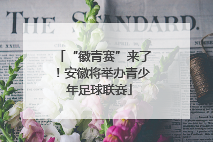 “徽青赛”来了！安徽将举办青少年足球联赛