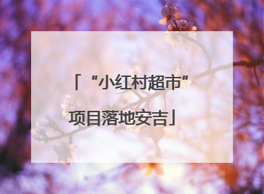 “小红村超市”项目落地安吉