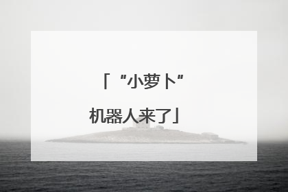 “小萝卜”机器人来了