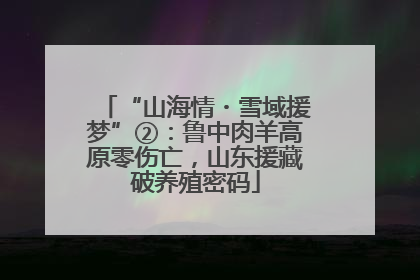“山海情・雪域援梦”②：鲁中肉羊高原零伤亡，山东援藏破养殖密码