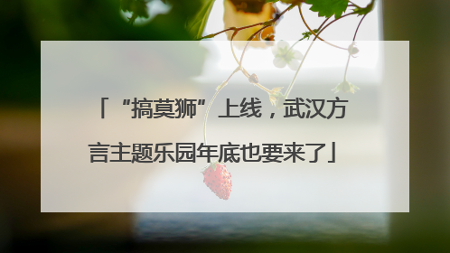 “搞莫狮”上线，武汉方言主题乐园年底也要来了