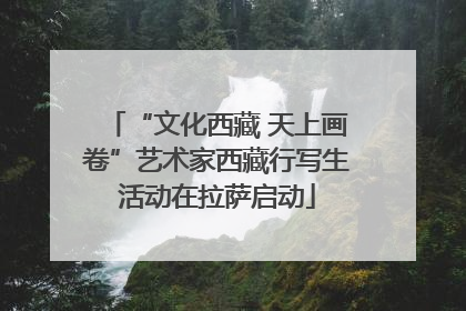 “文化西藏 天上画卷”艺术家西藏行写生活动在拉萨启动