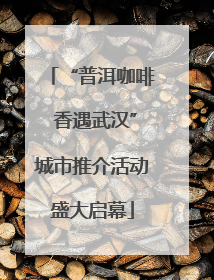 “普洱咖啡 香遇武汉”城市推介活动盛大启幕