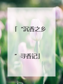 “沉香之乡”寻香记
