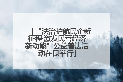 “法治护航民企新征程·激发民营经济新动能”公益普法活动在昆举行