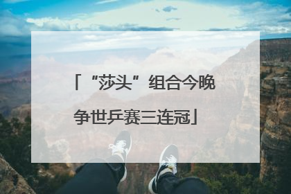 “莎头”组合今晚争世乒赛三连冠