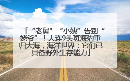 “老舅”“小姨”告别“姥爷”！大连9头斑海豹重归大海，海洋世界：它们已具备野外生存能力