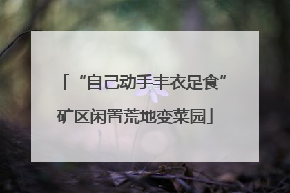“自己动手丰衣足食”矿区闲置荒地变菜园