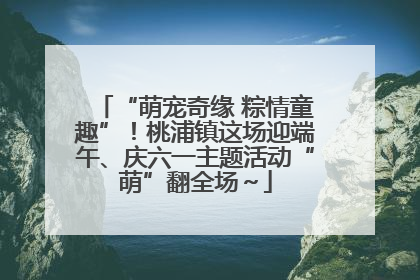 “萌宠奇缘 粽情童趣”！桃浦镇这场迎端午、庆六一主题活动“萌”翻全场～