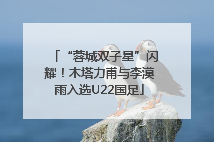 “蓉城双子星”闪耀！木塔力甫与李漠雨入选U22国足
