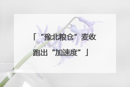 “豫北粮仓”麦收跑出“加速度”