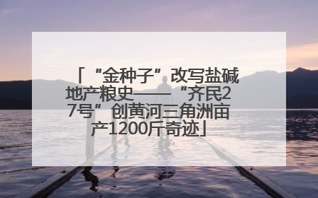“金种子”改写盐碱地产粮史——“齐民27号”创黄河三角洲亩产1200斤奇迹
