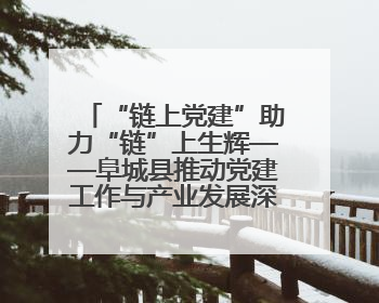“链上党建”助力“链”上生辉——阜城县推动党建工作与产业发展深度融合