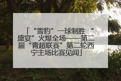 “雪豹”一球制胜 “盛宴”火爆全场——第二届“青超联赛”第二轮西宁主场比赛见闻