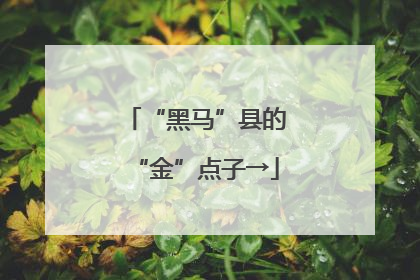 “黑马”县的“金”点子→