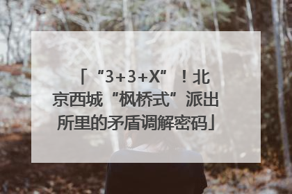 “3+3+X”！北京西城“枫桥式”派出所里的矛盾调解密码