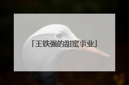 王铁强的甜蜜事业