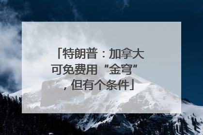 特朗普：加拿大可免费用“金穹”，但有个条件