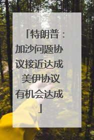 特朗普：加沙问题协议接近达成 美伊协议有机会达成