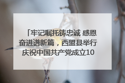 牢记嘱托铸忠诚 感恩奋进谱新篇，西盟县举行庆祝中国共产党成立104周年文艺晚会
