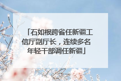 石如根跨省任新疆工信厅副厅长，连续多名年轻干部调任新疆