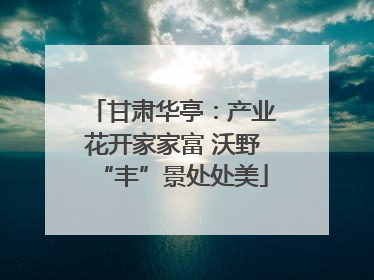 甘肃华亭：产业花开家家富 沃野“丰”景处处美