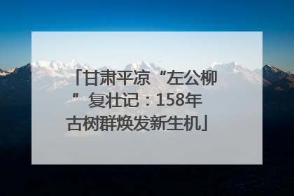 甘肃平凉“左公柳”复壮记：158年古树群焕发新生机