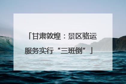 甘肃敦煌：景区骆运服务实行“三班倒”